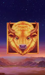 Buffalo's Sun 2
